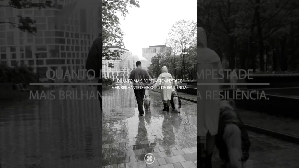 A resiliência conduz ao sucesso 🚀🚀🚀