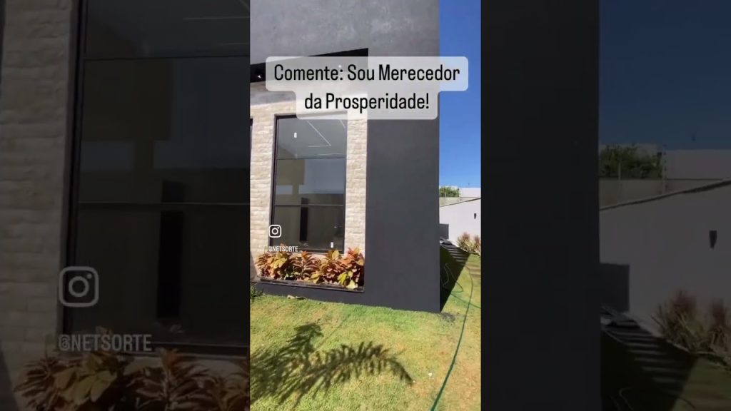 Voe com águias e nade com tubarões 🦅🦈